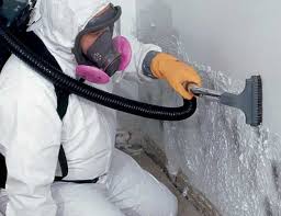 Professional Mold Removal & Remediation in Sandy Hook, CT